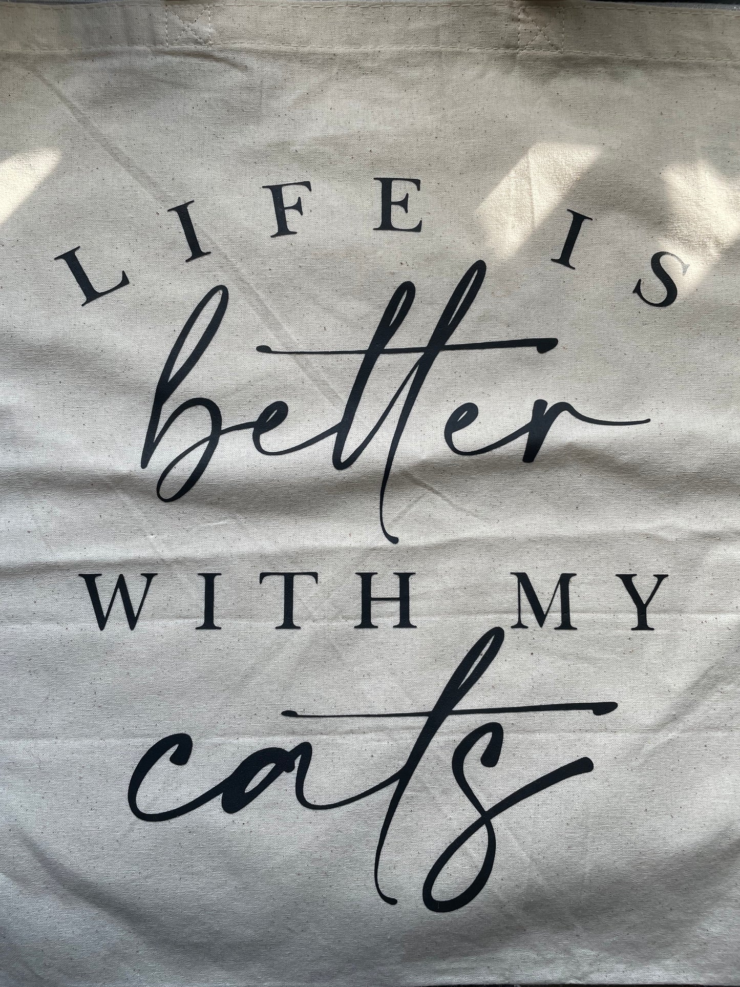 Life is better with cats